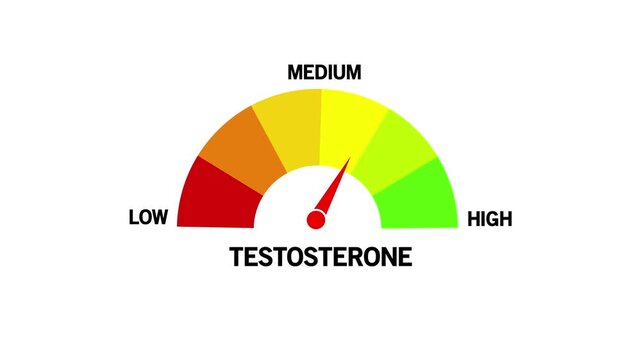 Testosterone Level Text or Word Low and Medium to High Meter Concept Animation. Testosterone Level Meter, measuring scale.on white Background and features 4k Animation