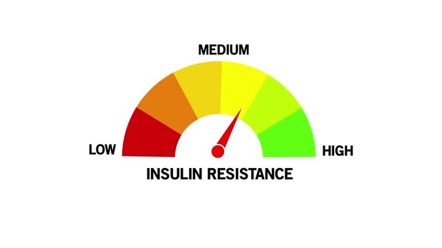 insulin resistance Level Text or Word Low and Medium to High Meter Concept, on white Background and features 4k Animation