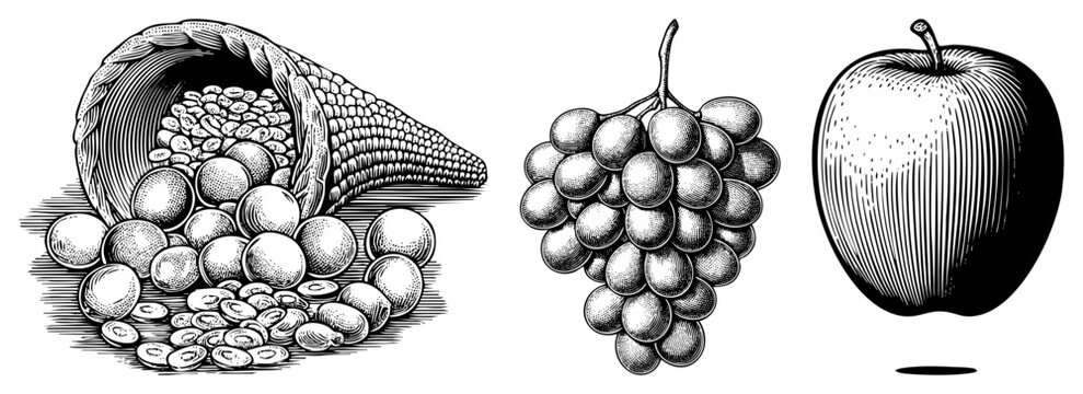 Classic black and white engraved fruit still life, cornucopia overflowing with beans, clustered grapes, and single, rustic food illustration.
