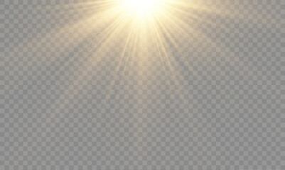 Bright sunlight overlay with sparkling sunbeams, glowing rays, optical flare, radiant energy, warm summer sky, shiny highlights, transparent light, and soft magic glow.