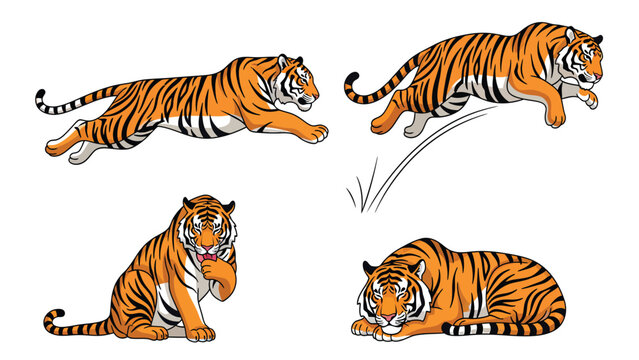 Cartoon Tiger Poses Set: Running, Jumping, Sitting, Resting - Wildlife Animal Vector Collection