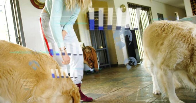 Woman approaching, steadying black bowl to help dogs eat, pet care overlay partially obscuring view