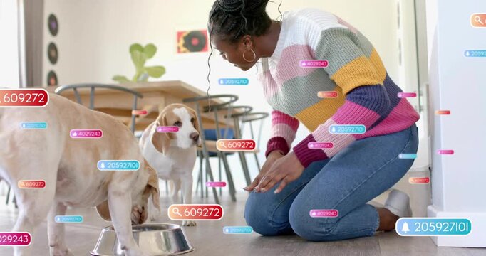Woman kneeling placing bowl for pets guiding lab eating signaling beagle petting, graphics floating