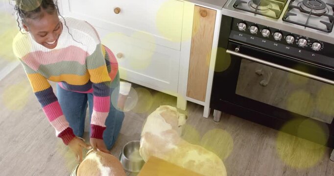 Woman kneeling in kitchen nudging metal bowls, petting dogs and encouraging eating for pet care