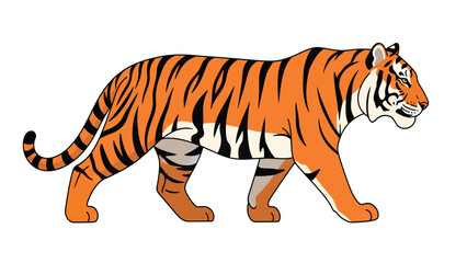 Fototapeta premium Majestic Tiger Walking in Profile. Vibrant Orange and Black Striped Wild Animal Illustration. Flat Vector Design on White Background.