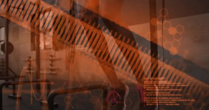 adult woman entering right, gripping dip bars, doing dips, helix overlaying woman showing fitness