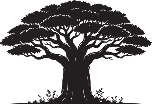 Silhouette of a large tree with broad crown and thick trunk growing from grassy ground also transparent background