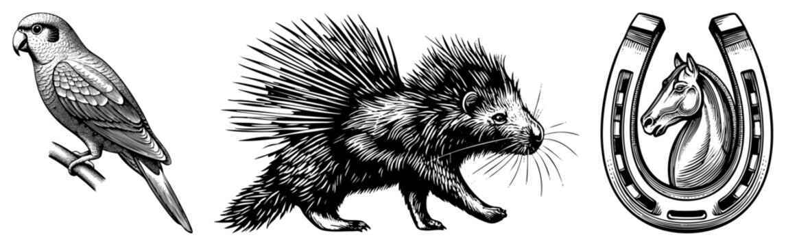 Classic engraved illustrations of a parrot perched, porcupine with quills, and horseshoe with horse head, all in art style, ideal for tattoo or emblem design.