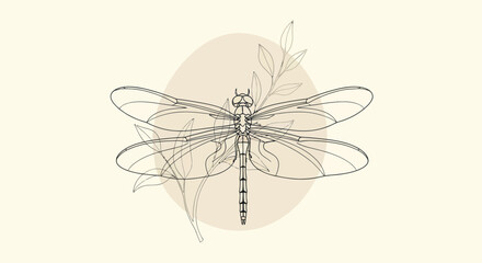 Detailed Line Drawing of Dragonfly Insect. © TDF CREATIVE
