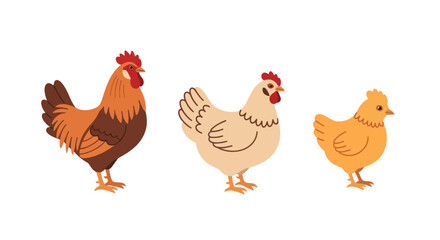 Three Chickens Standing Side by Side. © TDF CREATIVE