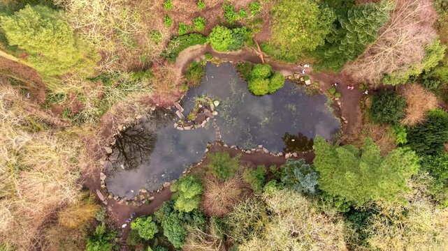 Descending 4K 60FPS aerial video of the Japanese Garden at Sir Thomas and Lady Dixon Park in Belfast, Northern Ireland on a sunny day. Produced with Rec709 color.