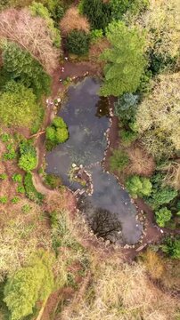Descending vertical social ratio 60FPS aerial video of the Japanese Garden at Sir Thomas and Lady Dixon Park in Belfast, Northern Ireland on a sunny day. Produced with Rec709 color.