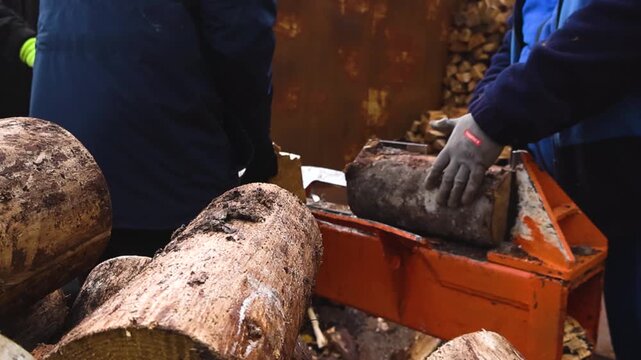 Close view of workers operating hydraulic wood splitter machine cutting firewood logs outdoors with protective gloves and stacked timber in background.