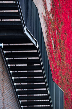 Staircase steps run beside a wall covered in ivy with a metal handrail creating an urban exterior architecture pattern with vivid color texture