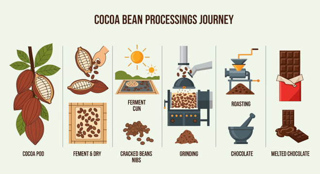 Cocoa Bean Processing Journey: From Pod to Chocolate Bar
