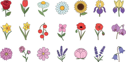 Collection of various colorful cartoon flowers and berries © GT Designs