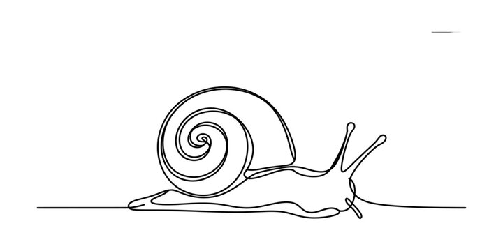 A single continuous line drawing of a snail with a spiral shell crawling on a surface. Vector, illustration