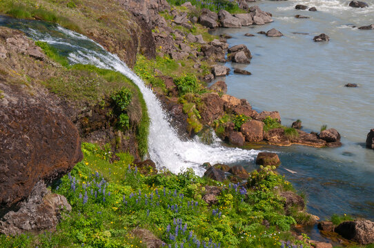 Urridafoss waterfall Iceland , view along the pjorsa river with small creek joining main river