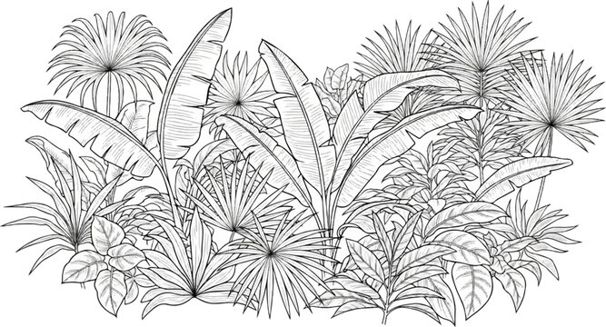 An artistic black and white illustration depicts a dense arrangement of tropical foliage and palm fronds