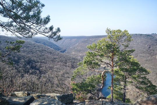 View from Seasfielduv kamen viewpoint in Podyji national park in Czech republic