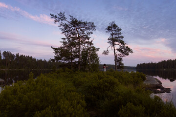 Serene twilight landscape of a Swedish lake with a person standing by tall pine trees on a rocky shore, reflected in calm water under a soft pink and purple sunset sky in the Nordic wilderness.