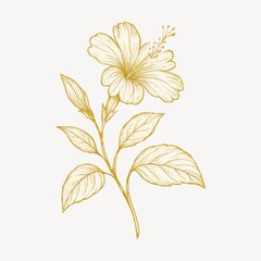 Fototapeta premium Elegant golden hibiscus illustration.