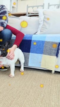 Vertical video: Woman holding dog, man joining, steadying and petting for vet at home, yellow dots
