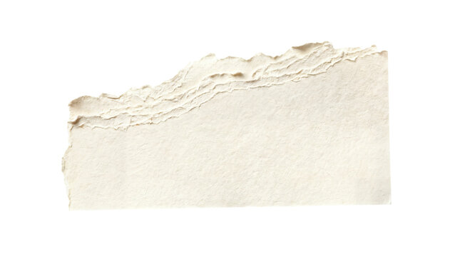  torn paper isolated on white background