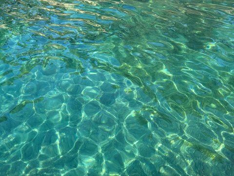 Beautiful turquoise sea water with underwater seaweed.