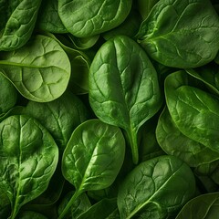 Fototapeta premium Vibrant Green Fresh Spinach Leaves Displaying Rich Nutritional Benefits and Abundant Freshness