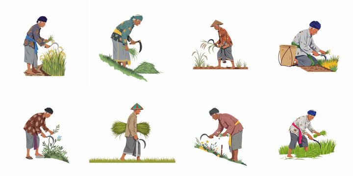 Set of illustrations depicting traditional Asian farmers harvesting rice and grass with hand tools in a rural agricultural setting.