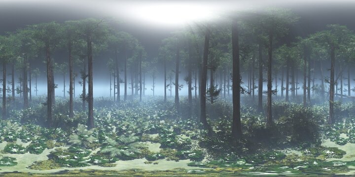HDRI, environment map , Round panorama, spherical panorama, equidistant projection, panorama 360, Forest and swamp, 3d rendering