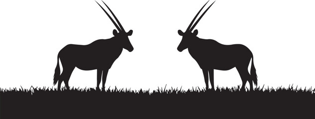 Symmetrical Oryx Silhouettes on Grassland © NR