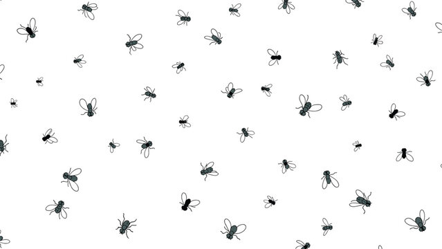 Sparse pattern of small flying insects and flies scattered randomly across a clean white background for pest control and nature themes.