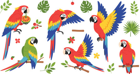 Colorful macaw parrot set with tropical leaves and fruits, exotic rainforest bird collection in different poses vector illustration © Aminul