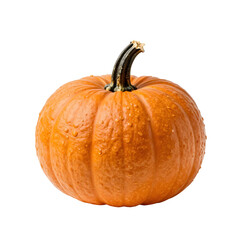 Fresh orange pumpkin with water droplets on a white background perfect for fall season