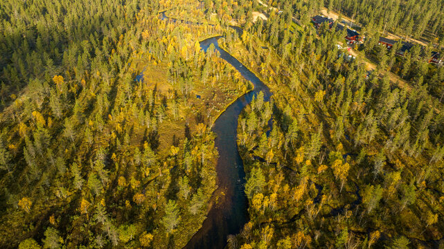 Aerial view of a winding river bisecting a dense forest with a striking tapestry of green and gold foliage under the crisp autumn sunlight, Saariselka, Lappi, Finland.