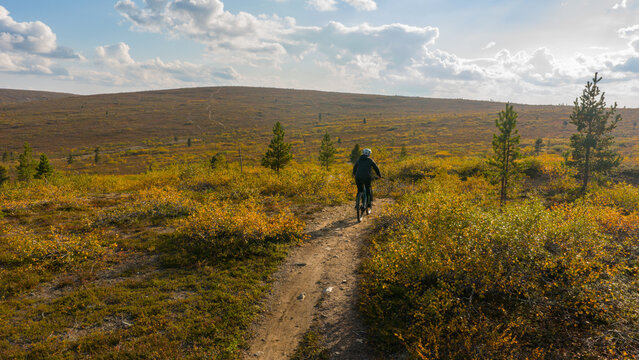 Aerial view of a lone cyclist pedals along a winding dirt path amidst the vibrant autumnal tundra, a tapestry of gold and green under a vast sky, Saariselka, Lappi, Finland.