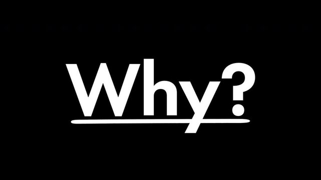 Animated why text typography with doodle underline circle scribble and rays symbol representing question curiosity and explanation concept isolated on transparent background
