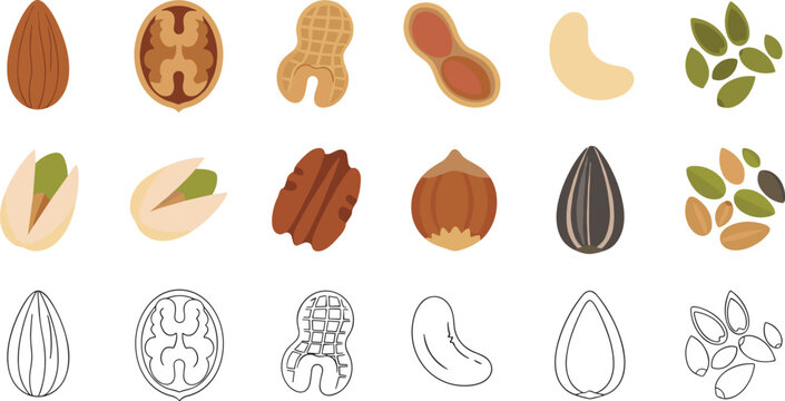 Assorted nuts and seeds collection including almond walnut peanut pistachio cashew sunflower healthy food flat vector illustration set