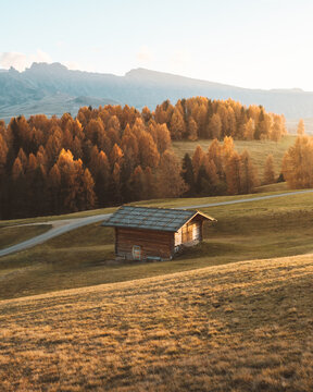 View of a rustic wooden hut nestled in a golden field, backed by autumn-toned trees and distant mountains, Alpe di Siusi, Trentino-Alto Adige, Italy.