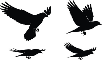 Obraz premium Set of Flying Crow and Raven Silhouettes with Wings Spread Isolated on White Background for Mystery Wildlife and Nature Graphic Design