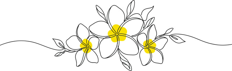 Plumeria flowers in continuous line art drawing style. Group of fragrant tropical plumeria (frangipani, jasmine) flowers. Minimalist black linear sketch on white background. Vector illustration © AbuHuraira