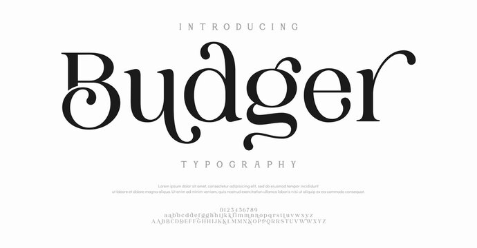 An elegant and modern introduction to Budger Typography showcasing a stylish custom typeface design for branding purposes