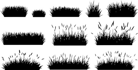 Adobe Illustrator Artwork © PureVector Lab