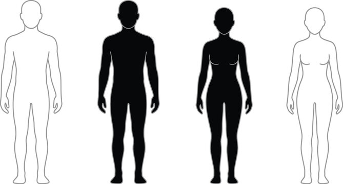 Vector illustration of four human body outlines in different styles and colors