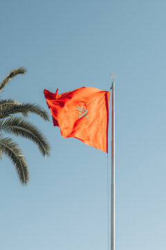 View of a vibrant orange Moroccan flag fluttering proudly against a clear blue sky, framed by the graceful fronds of a palm tree, Rabat, Rabat-Sale-Kenitra, Morocco.