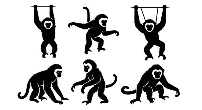 Gibbon Monkey Silhouettes Set: Swinging, Climbing, and Sitting Poses