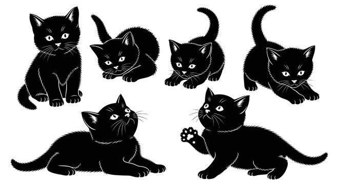 Group of Adorable Black Kittens Playing and Posing in Various Cute Poses