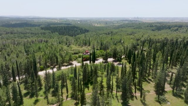 Aerial view of the Thai Pagoda in Ben Shemen Forest, Israel, surrounded by lush green pine and cypress trees